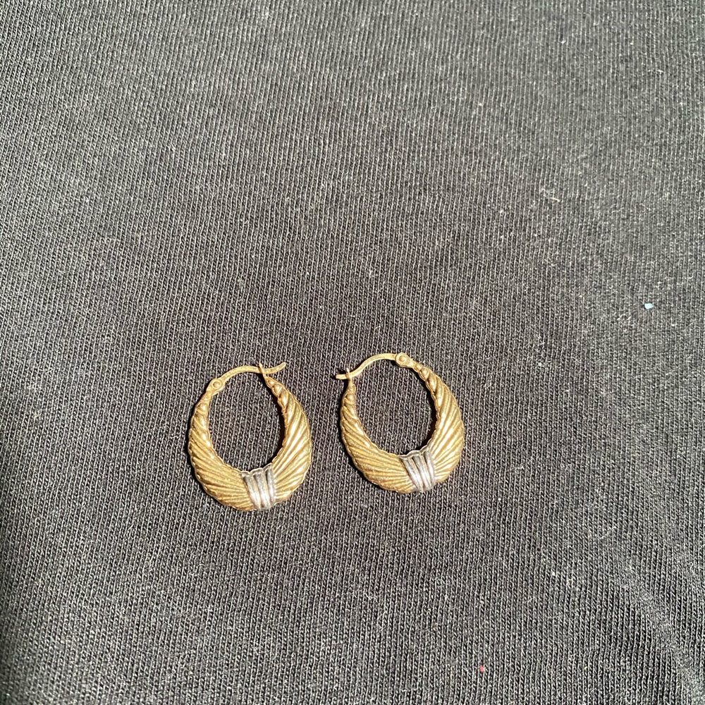 Beautiful earring
